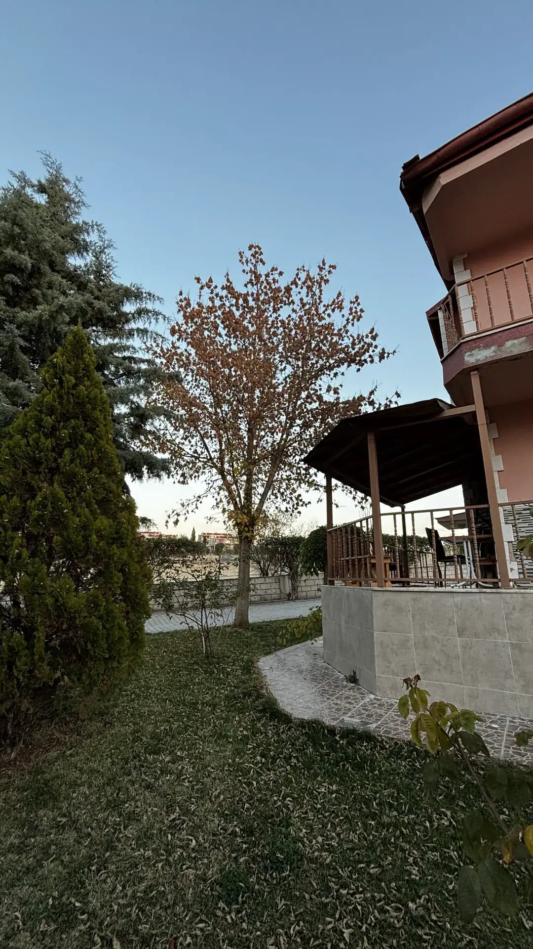 Çimenlik bahçe, servi ve villanın ahşap çatılı terası